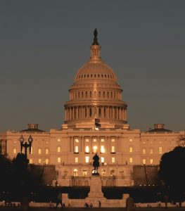 Government